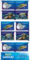 Stamp Collecting Month: Reef Safari