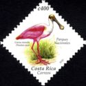 Roseate Spoonbill (Platalea ajaja)