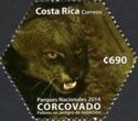 Corcovado National Park - Puma