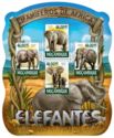 Elephants