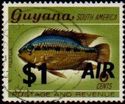 $1 AIR on 6c Patua (no watermark)