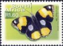 Yellow Pansy (Junonia hierta ssp. cebrene)