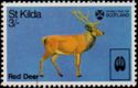 Red Deer