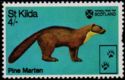 Pine Marten