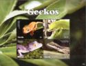 Geckos