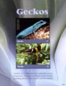 Geckos