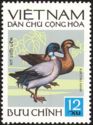 Falcated Teal (Anas falcata)