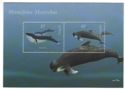 Sea Mammals I