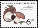 Edible fungi in Greenland