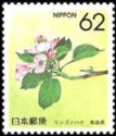 Apple Blossom (Aomori)
