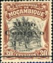 Elephant Overprint