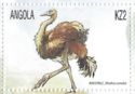 Common Ostrich (Struthio camelus)
