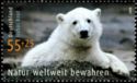 Polar Bear Knut (Ursus maritimus), Berlin Zoo