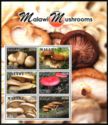 Mushrooms of Malawi