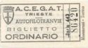 Biglietto Ordinario - “Tram de Opcina”