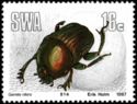 Green Dung Beetle (Garreta nitens)
