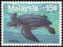 Leatherback Sea Turtle (Dermochelys coriacea)