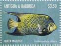 Queen Angelfish (Holacanthus ciliaris)