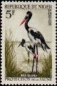Saddle-billed Stork (Ephippiorhynchus senegalensis)