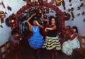 Granada. Sacromonte Dancers