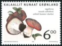 Edible fungi in Greenland (Russula subrubens)