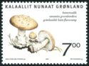 Edible fungi in Greenland (Amanita groenlandica)