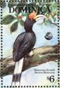 Rhinoceros Hornbill (Buceros rhinoceros)