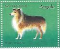 Shetland Sheep Dog