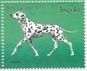 Dalmatian