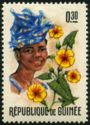 Thunbergia alata and Woman
