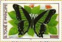 Papilio bromius