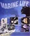 Marine Life (1)