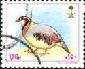 Arabian Partridge (Alectoris melanocephala)