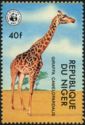 Giraffe (Giraffa camelopardalis)