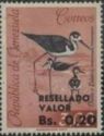 Black-necked Stilt (Himantopus himantopus) -overprint