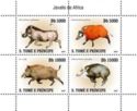 African Wild Boars