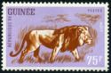 Lion (Panthera leo)