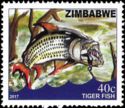 Fishing In Zimbabwe