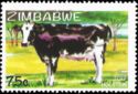 Cattle Breeds
