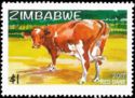 Cattle Breeds