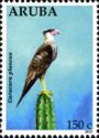 Crested Caracara (Caracara plancus)