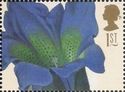 Gentiana acaulis (Ehret)