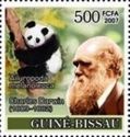 Giant Panda (Ailuropoda melanoleuca), Charles Darwin