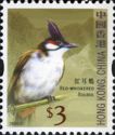 Red Whiskered Bulbul (Pycnonotus jocosus)