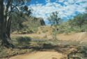 An outback Australian scene