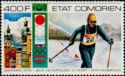 Cross-country Skiing