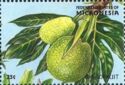 Breadfruit (Artocarpus communis)