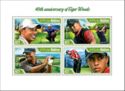 40th Birth Anniversary of Tiger Woods