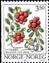 Cowberry (Vaccinium vitis-idaea)