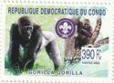 Western Gorilla (Gorilla gorilla)
